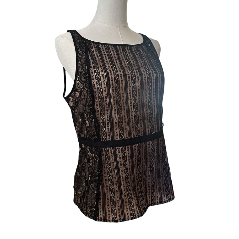 LOFT Black Lace & Nude Stripe Sleeveless Blouse